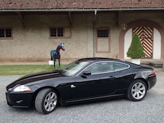 Bild des Angebotes Jaguar XK XK 4.2 Coupe