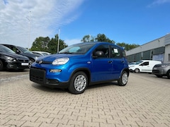 Bild des Angebotes Fiat Panda Neues Modell 1.0 *5 Sitzer Klima PDC DAB*