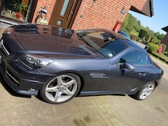 Bild des Angebotes Mercedes-Benz SLK 250 SLK 250 CDI (BlueEFFICIENCY) 7G-TRONIC AMG STYLING