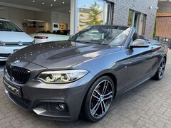 Bild des Angebotes BMW 220 i Cabrio M Sport OpenAir h&k CAM NaviPro 18"