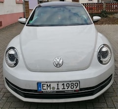 Bild des Angebotes VW Beetle