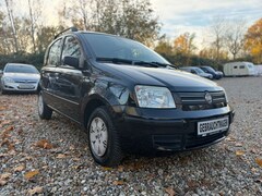 Bild des Angebotes Fiat Panda 1.2 8V Dynamic/1.HAND/KLIMA/ELEKT.FENSTER/