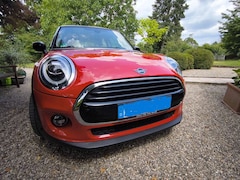 Bild des Angebotes MINI Cooper Mini Cooper Automatik, Vollleder, Model Chili