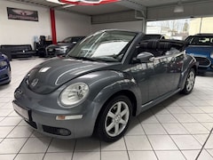 Bild des Angebotes VW New Beetle Cabriolet 1.6 PDC KLIMA SHZ