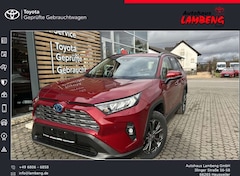 Bild des Angebotes Toyota RAV 4 2.5 4x2 Hybrid Team Deutschland