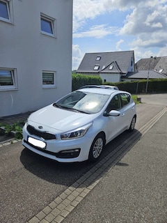 Bild des Angebotes Kia Ceed / cee'd 1.4 CVVT ISG Vision
