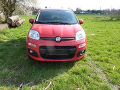 Bild des Angebotes Fiat New Panda 1.2 8V LOUNGE Zahnriemen ern.3.25