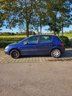 Bild des Angebotes Peugeot 307 Break 90 Grand Filou Cool