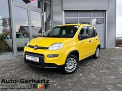 Bild des Angebotes Fiat Panda Hybrid Klimaanlage/ABS/Garantie