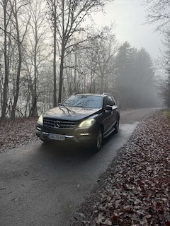 Bild des Angebotes Mercedes-Benz ML 500 4MATIC (BlueEFFICIENCY) 7G-TRONIC