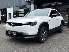 Bild des Angebotes Mazda MX-30 EV ADVANTAGE Industrial Vintage 3-phasig