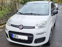 Bild des Angebotes Fiat Panda Panda 1.2 My Panda