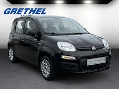 Bild des Angebotes Fiat Panda Easy 1.2 PDC Klima el.SP Spieg. beheizbar MP3 CD e