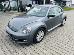 Bild des Angebotes VW Beetle Design