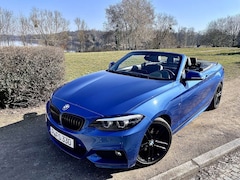 Bild des Angebotes BMW 220 220d Cabrio Aut. M Sport +MFelgen (6d-Temp)