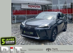 Lexus UX 250h UX 250 h Style Edition zuverlässiger Crossover
