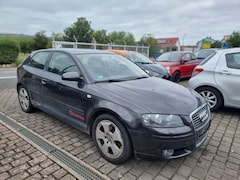 Bild des Angebotes Audi A3 1.6 FSI Klimatr BiXenon Sihzg 6Gang FuZv PDC