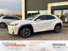 Bild des Angebotes Lexus UX 250h UX 250 h *Kamera*Sitzh.*Klimaaut.*Digi.Tacho*
