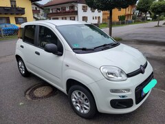 Bild des Angebotes Fiat Panda Panda/Pandina 1.2 More