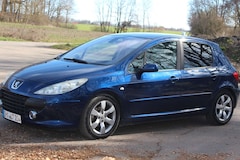 Bild des Angebotes Peugeot 307 307 110 Grand Filou Cool