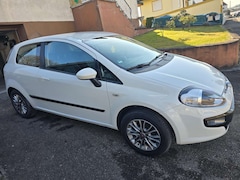 Bild des Angebotes Fiat Punto Evo Punto Evo 1.2 8V Active Start