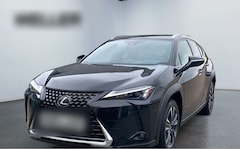 Lexus UX 250h Style Edition *Bi-LED*ACC*CAM*SHZ*CarPlay*