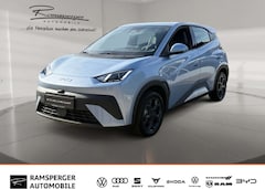 Bild des Angebotes BYD Dolphin Dolphin Surf - Boost