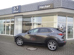 Bild des Angebotes Mazda CX-30 e-SKYACTIVE G 140  EXCLUSIVE Sommerschlussverkauf