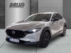 Bild des Angebotes Mazda CX-30 Nagisa 2.5 AT HUD Leder Memory Sitze Soundsystem B