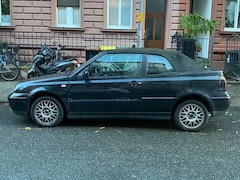 Bild des Angebotes VW Golf Cabriolet Golf Cabrio 2.0 Colour Concept