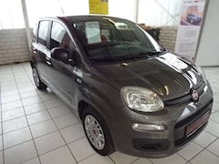 Bild des Angebotes Fiat Panda Panda/Pandina 1.2 Easy