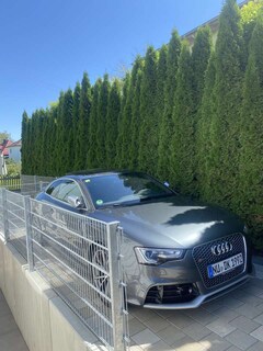 Bild des Angebotes Audi RS5 S tronic *Panorama* Daytonagrau