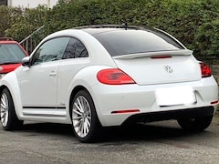 VW New Beetle New Beetle 1.6