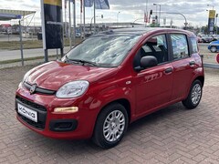 Bild des Angebotes Fiat Panda MY25 1.0 Klima PDC Citypaket