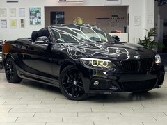 Bild des Angebotes BMW 230 Cabrio M-Paket Leder Navi RueFaKa SHZ Ambiente Spo