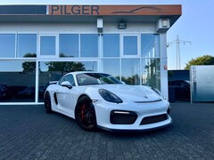 Bild des Angebotes Porsche Cayman 981 GT4 Clubsport*Schale*Xenon*Schalter