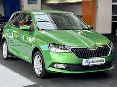 Bild des Angebotes Skoda Fabia 1.0 95PS*LED*PDC*ALU*KLIMAA.*ALCAN*TEMPO*
