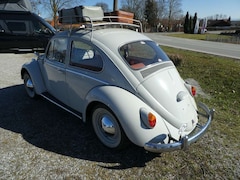 Bild des Angebotes VW Käfer