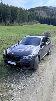 Bild des Angebotes BMW X4 xDrive20i Aut. xLine