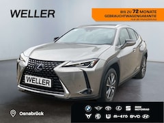 Bild des Angebotes Lexus UX 300e *Bi-LED*Leder*SHZv+h*PDC v+h*Kamera*ACC*LMF*
