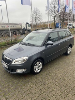 Bild des Angebotes Skoda Fabia Ambiente
