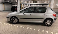 Bild des Angebotes Peugeot 307 307 Break 90 Grand Filou Cool