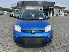 Bild des Angebotes Fiat Panda NEU 1.0 GSE Hybrid DAB Klima City-Paket