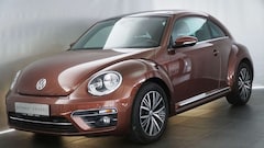 Bild des Angebotes VW Beetle Käfer! Allstar Dark Bronze! Panoramadach!