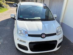 Bild des Angebotes Fiat Panda Panda 1.2