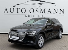 Bild des Angebotes Audi e-tron 50 quattro basis VIRTUAL COCKPIT*PDC