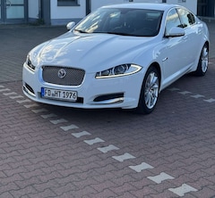 Bild des Angebotes Jaguar XF 2.2 Diesel