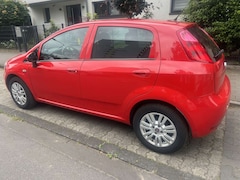 Bild des Angebotes Fiat Punto Basis