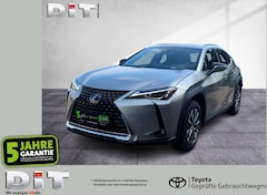 Bild des Angebotes Lexus UX 300e Basis Klima Kamera Sitzhzg Tempomat