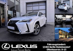 Bild des Angebotes Lexus UX 300e UX300e Luxury Line  * 72,8 kWh * Neues Model *